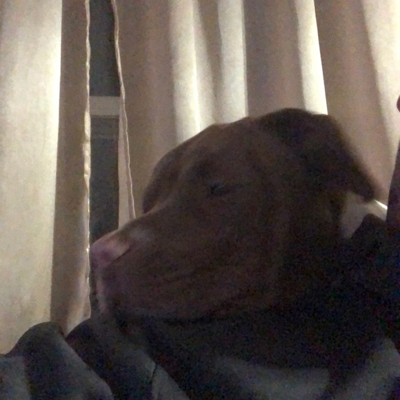 Meet your Posher, Jeremy - Picture 1 of 1